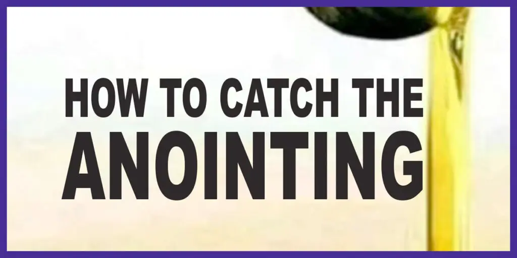 how to catch the anionting